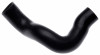 Gates 69-77 Ford Bronco V-8 302 Lower Molded Coolant Hose