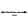 Edelbrock Rollin' Thunder Camshaft #2231 for Chevy V8 Engines – Smooth Idle and Enhanced Torque
