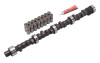 Edelbrock Performer-Plus Camshaft #2157 for Pontiac V8 Engines - Smooth Idle and Enhanced Torque
