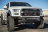 Addictive Desert Designs 17-19 Ford F-150 Raptor ADD PRO Bolt-On Front Bumper