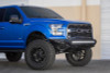 Addictive Desert Designs 15-17 Ford F-150 EcoBoost Stealth Fighter Front Bumper