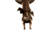 KYB Shocks & Struts Excel-G Front Left Subaru Forester 2011-2013