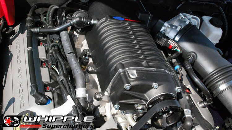 Ford Racing Whipple Supercharger Kit for 201114 Ford Mustang GT [S197] M6066MGT525D