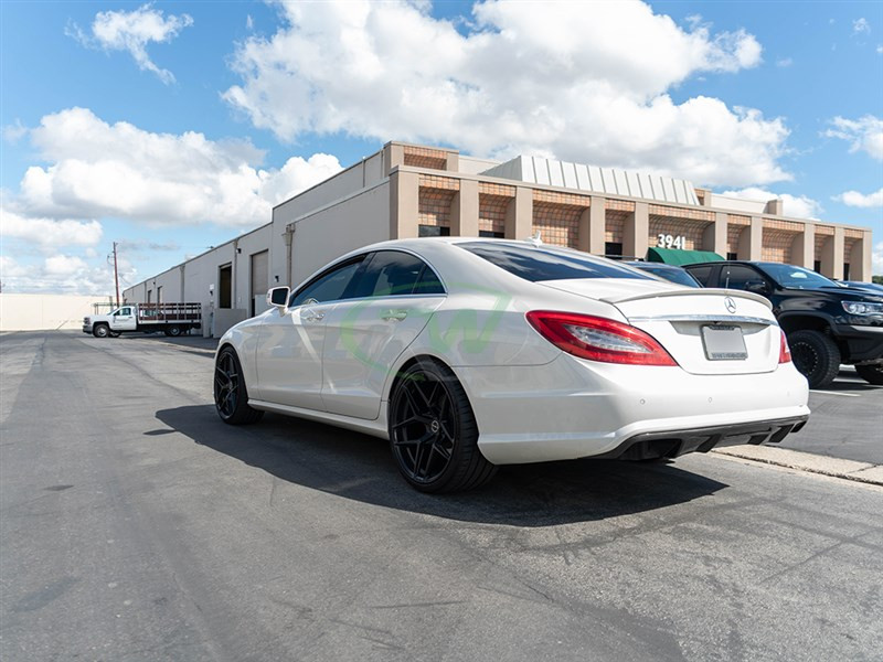 RW Carbon Mercedes W218 CLS63 AMG Carbon Fiber Diffuser