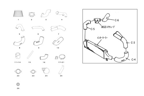 GReddy 95-02 Nissan Skyline GT-R BCNR33/BNR34 Twin Airinx AY-S Intake Kit w/ 80mm Z32 Airflow Meters