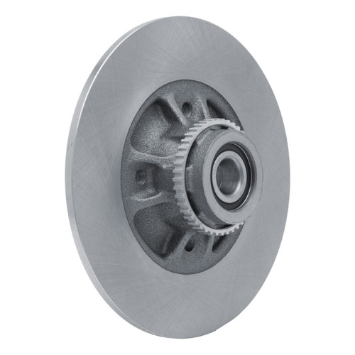 R1 02-10 Renault CLIO (Mexico) Rear Brake Rotor