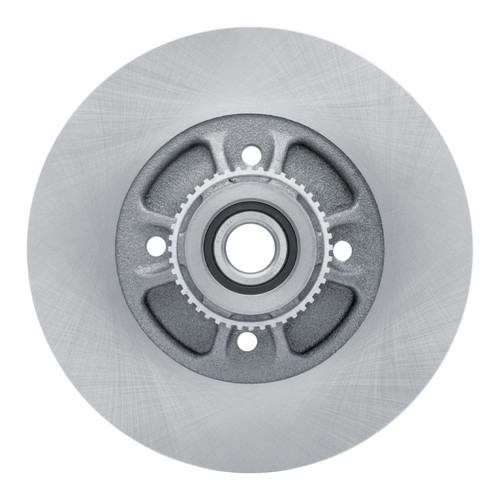 R1 02-10 Renault CLIO (Mexico) Rear Brake Rotor