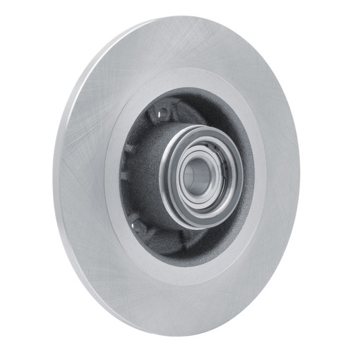 R1 03-06 Renault Laguna (Mexico) Rear Brake Rotor