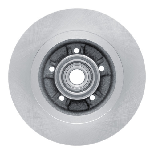 R1 03-06 Renault Laguna (Mexico) Rear Brake Rotor