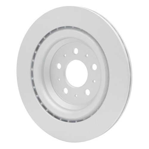 R1 17-25 Tesla Model 3 Rear GeoSPEC Coated Rotor