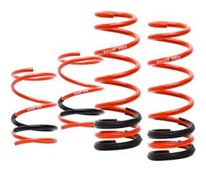 2022 Honda Civic Lowering Springs ZX Performance Purple Lowering
