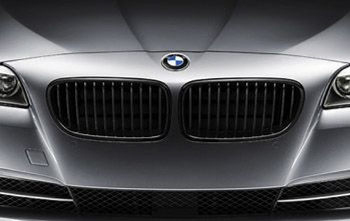 BMW Performance Gloss Black Grilles for 2010+ BMW Z4 [E89]