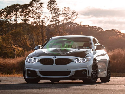 RW Carbon BMW F30/F32 GTS Style Carbon Fiber Hood - bmwf30041