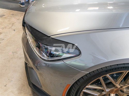 RW Carbon BMW G30 5 Series Carbon Fiber Eyelids - bmwg30028
