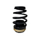 BLOX Racing 14-15 Honda Civic SI Plus Series Fully Adjustable Coilovers