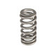 COMP Cams 2018+ Ford Coyote Valve Springs 1.765in Beehive