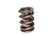 COMP Cams Valve Spring 1.550in H-11 Asse 999-1