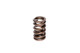 COMP Cams Valve Spring 1.250in Ovate Wir