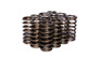 COMP Cams Valve Springs 0.970in Inner