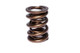 COMP Cams Valve Spring 1.550in Inter-Fit 955-1