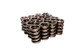 COMP Cams Valve Springs 1.540in 2 Spring 954-16