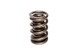 COMP Cams Valve Spring 1.540in 2 Spring