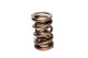 COMP Cams Valve Spring 1.550in Inter-Fit 943-1