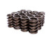 COMP Cams Valve Springs 1.437in Outer W/ 942-16