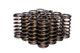 COMP Cams Valve Spring 1.025in Inner