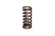 COMP Cams Valve Spring 1.025in Inner 937-1