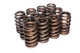 COMP Cams Valve Springs 1.240in Beehive 26981-12