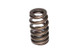 COMP Cams Valve Spring 1.240in Beehive