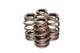 COMP Cams Valve Springs 1.589in Beehive