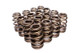 COMP Cams Valve Springs 1.589in Beehive 26095-16