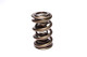 COMP Cams Valve Spring 2.200in Drag Race