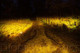 Diode Dynamics SS3 LED Pod Pro - Yellow SAE Fog Round (Pair)