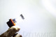 Diode Dynamics H11 XP80 LED - Cool - White Set of 4