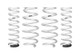 Eibach Pro-Lift Kit for 19-20 Subaru Forester AWD SK