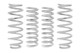 Eibach Drag Launch Kit (Competition Springs) for 2015-2020 Dodge Challenger SRT Hellcat