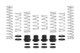 Eibach Pro-UTV 2019 Polaris RZR Turbo S Velocity Stage 3 Performance Springs