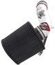 AEM 04-06 Ford F Series Super Duty Diesel Polished Workhorse 6.0L Power Stroke Intake