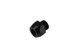 Aeromotive Fitting - Union - AN-6 - 1/8-NPT Port