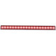 ANZO Universal 24in Slimline LED Light Bar (Red)