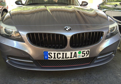 BMW Performance Gloss Black Grilles for 2010+ BMW Z4 [E89]