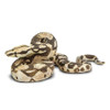 Boa Constrictor Toy