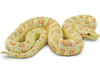 Toy - Burmese Python