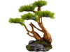 Windy Bonsai Tree