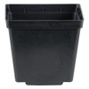 Square Pot Black 4"