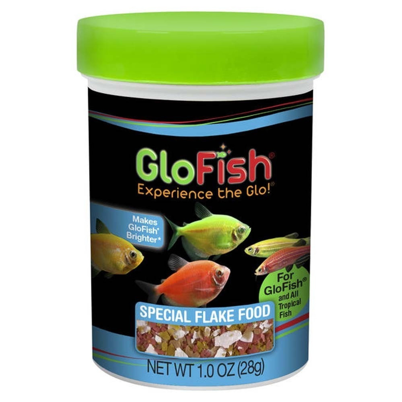 June Featured Fish: Glofish - The Tye-Dyed Iguana - Reptiles and Reptile  Supplies in St. Louis.