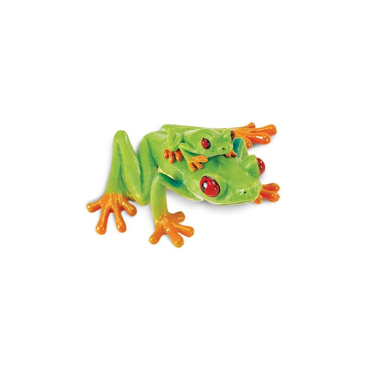 Red-Eyed Tree Frog Toy - The Tye-Dyed Iguana - Reptiles and Reptile  Supplies in St. Louis.